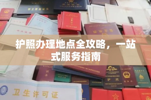 嘉黎护照办理地点全攻略，一站式服务指南
