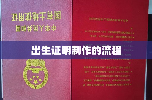 嘉黎出生证明制作的流程