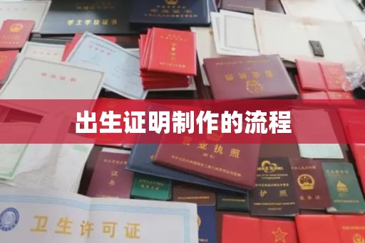 嘉黎出生证明制作的流程