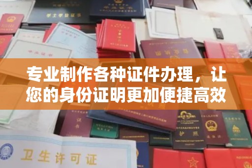 嘉黎专业制作各种证件办理，让您的身份证明更加便捷高效