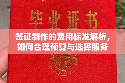 嘉黎签证制作的费用标准解析，如何合理预算与选择服务