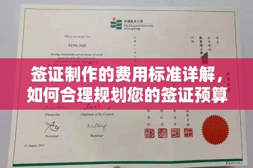 嘉黎签证制作的费用标准详解，如何合理规划您的签证预算