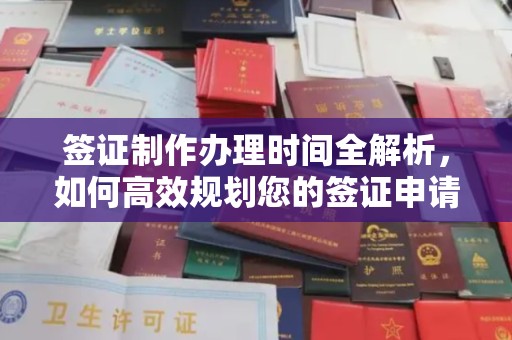 嘉黎签证制作办理时间全解析，如何高效规划您的签证申请流程