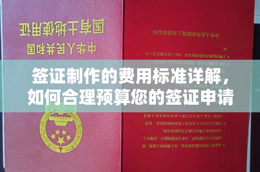 嘉黎签证制作的费用标准详解，如何合理预算您的签证申请成本